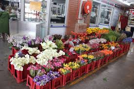 Several places were found that match your search criteria. Multiflora Your Flower Shop Where Flowers Are Worth A Million Words