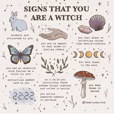 Pin On Witchy Bitchy Bby