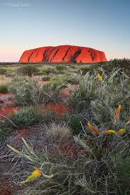 Uluru In The Setting Sun Ayers Rock Australia Australia Travel Outback Australia