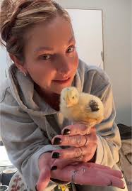 Understanding the Commitment of Caring for Chicks