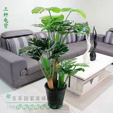 Image result for feng shui pictures of plants and water