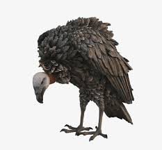 Bird Vulture Animal Prop Life Size Resin Statue - Vulture PNG Image |  Transparent PNG Free Download on SeekPNG