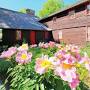 Profile Picture of ABOUT - Stanley Whitman House (@s-wh.org) on Google