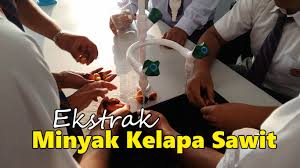 Pada tahun 2019, produksi minyak. Idea P P Sains Ekstrak Minyak Kelapa Sawit