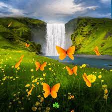 Animasi bergerak kupu kupu cantik animasi dan gambar download animasi bergerak shaun the sheep gif 11 gif images download download kupu kupu jinggaku kompasiana com download. Pin By Aqila On Gif Good Day Images Amazing Nature Gif Photo