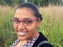 School Improvement Fellows