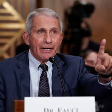 If anybody is lying here, it is you': Fauci turns tables