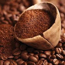 Robusta