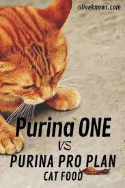 Purina One Gegen Purina Pro Plan Katzenfutter 2019 Update All About Pets Gegen Katzenfutter Pets Plan Pro Purin Katzen Futter Katzenfutter Katzen