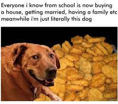 Top 21 Chicken Nugget Memes Chicken Nugget Life
