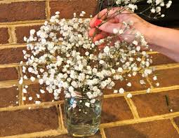 These are the average and approximate prices for in season flowers without design cost. Working With Baby S Breath Wholesale Flower Market