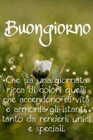 Buongiorno Speciale Ad Una Persona Speciale 68 Buongiorno Immagini It Buongiorno Citazioni Buongiorno Buongiorno Venerdi