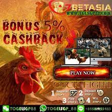 Pin Oleh Jenny Di 7betasia Kuching