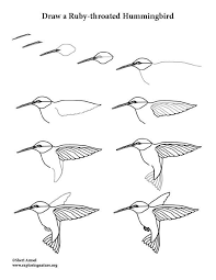 Hummingbird Ruby Throated Drawing Lesson Drawing Hummingbird Lesson Malerei Rubythroated In 2020 Kolibri Malerei Kolibri Zeichnung Blumen Zeichnung Kurse