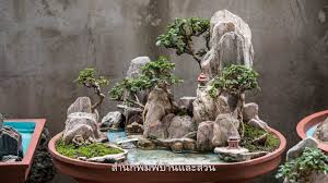 ไอเด ย จ ดสวนต กระจก หร อ จ ดสวนถาด ไว เป นงานอด เรกก ได จ ดประด บบ านก ด บ านและสวน การทำสวนผ ก ไอเด ยแต งสวน สวนผ ก