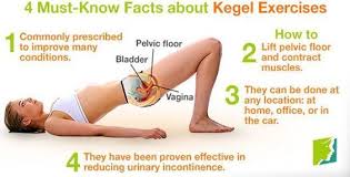 Kegel Exercises Kegel Exercise Pelvic Floor Kegal Exercises