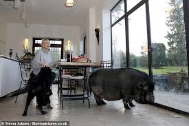 Ingrid tarrant on #gmb saying she will be hugging people but then admitting she hasn't. Chris Tarrant S Ex Wife Ingrid Reveals How She Swapped Her Husband For Three Pigs Daily Mail Online