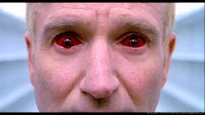 Anyone ever raced a Toyota Echo? (Page 1) — Lemons Tech — The 24 Hours of  Lemons Forums