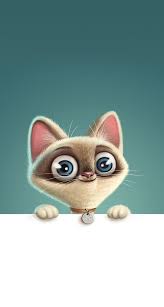 Fond D Ecran Chat Chat Monchat Passionchat Instachat Jaimemonchat Adorable Catlover Meow Cat Phone Wallpaper Cat Wallpaper Funny Wallpapers