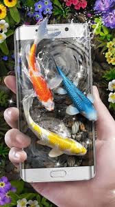 Ikan Koi Wallpaper Hidup For Android Apk Download