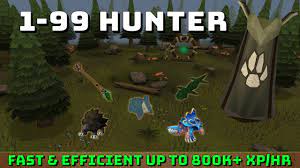 1-99 Hunter Guide! [Runescape 3] Up To 800K+ Xp/Hr! - Youtube