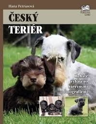 Image result for ČESKÝ TERIÉR