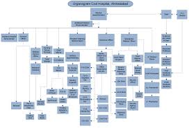 Organization Structure Civil Hospital Amdavad