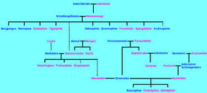 Auf der irrfahrt, in die sich das leben der die wolke. Seeclan Stammbaum Abgeschlossen By Feliluna On Deviantart