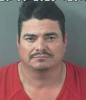 Felony and gross misdemeanor arrests