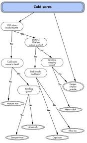 56 High Quality Common Cold Flow Chart