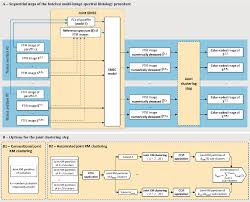 flowchart of the batched multi image spectral histology