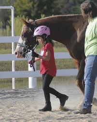 Horses with Hearts opens doors for those with physical and mental  disabilities