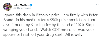 John Mcafee Undisturbed By Btc Price Drop Supports Peter