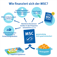 Sie wurde 1997 von unilever und dem wwf ins leben gerufen, ist seit 1999 unabhängig von diesen und finanziert sich vor allem aus spenden und lizenzgebühren. Das Geschaft Mit Dem Fischsiegel Antworten Vom Msc Marine Stewardship Council