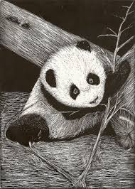 Pin On Scratch Board Art