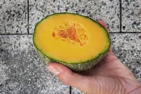 Melone Anbauen Vorziehen Pflanzen Pflegen Und Ernten Gruneliebe In 2020 Melonen Anbauen Melonen Pflanzen Melonen Sorten