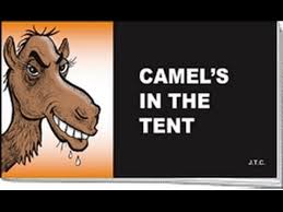Please find below many ways to say camel in different languages. Islam Camel S In The Tent Youtube