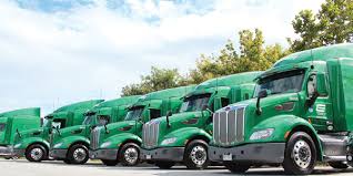 Image result for Tree Green 2018 Fleet