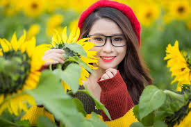 Kết quả hình ảnh cho xem ảnh hoa hướng dương