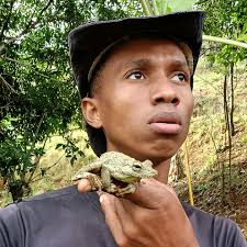 Melhor Cacau para Cultivar: Dicas e Resultados