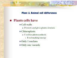 Maybe you would like to learn more about one of these? True False Plant And Animal Cells Are The Same Ppt Video Online Download