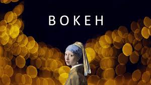 3 229 japan bokeh stock video clips in 4k and hd for creative projects. Everything You Ve Ever Wanted To Know About Bokeh And Its History Diy Photography