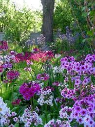 Pin On Garden