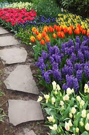 Norman Y Mineta San Jose International Airport Sjc Beautiful Gardens Gorgeous Gardens Spring Garden