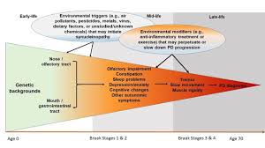 Consult a doctor for medical advice. The Search For Environmental Causes Of Parkinson S Disease Moves Forward