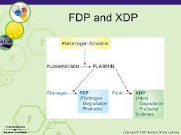 The two tests together can be useful for differentiation and treatment of suspected cases of fibrinolysis. Lesson 3 6 Laboratory Fdp