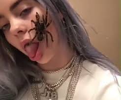 186 Images About Billie On We Heart It See More About Billie Eilish Aesthetic And Billie Billie Eilish Billie Image