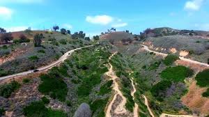 The botanical garden serves as a museum of plants, a tranquil escape, a living classroom, a explore the botanical garden by moonlight, find your way through the light maze, as well as enjoy. Over Ventura City Hall To The Botanical Gardens Youtube