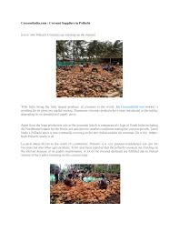 Coconut Suppliers In Tamilnadu By Mysvijai1977 Issuu