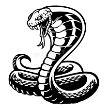 Here is a tribal snake tattoo design that can be your first tattoo. Cobra Snake Tattoo Style In Black And White Stock Vector Illustration Of Python Emblem 166492330